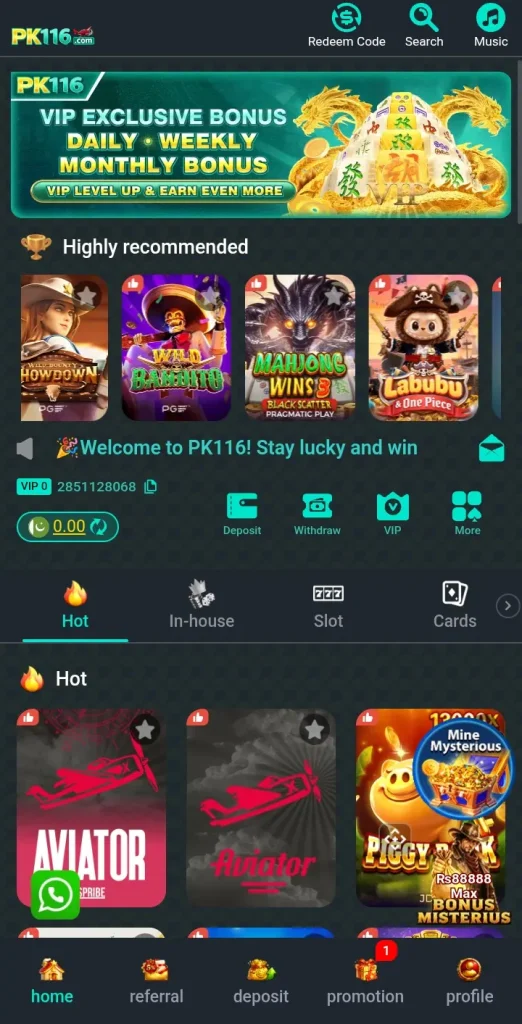PK116 Game interface screenshot image.