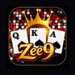 Zee9 Game